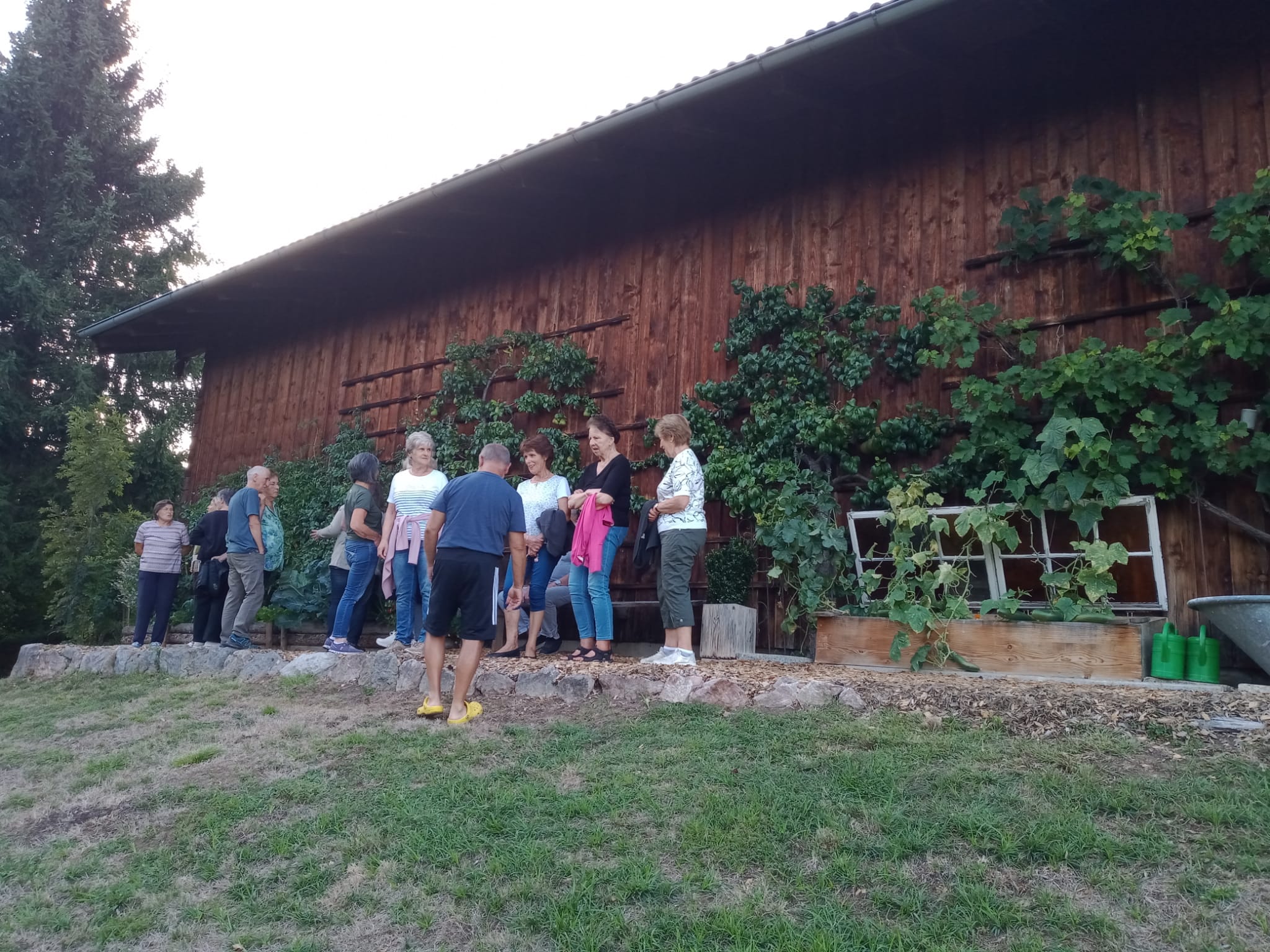 Gartenratsch